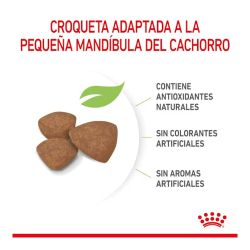 Royal Canin Mini Puppy