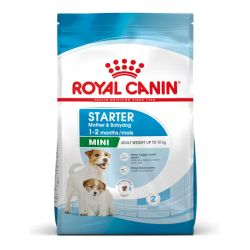 Royal Canin Mini Starter Mother & Babydog