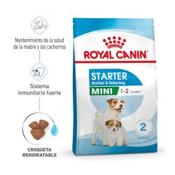 Royal Canin Mini Starter Mother & Babydog