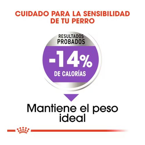 Royal Canin Mini Sterilised