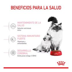 Royal Canin Mother & Babycat, Kg