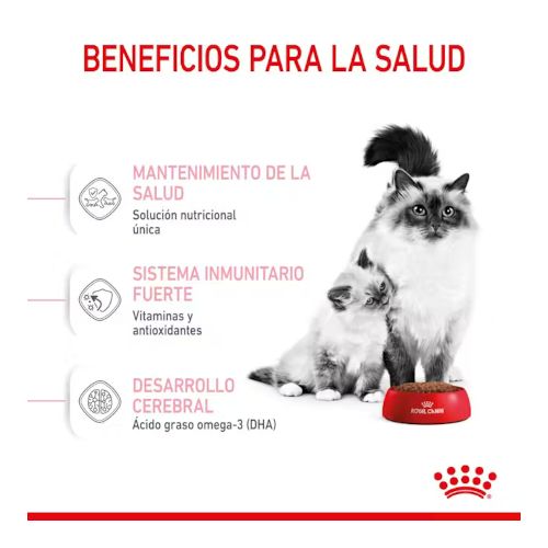 Royal Canin Mother & Babycat, Kg