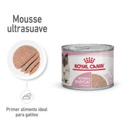 Royal Canin Mother & Babycat Latas, 12 x 195 Gr