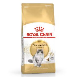Royal Canin Norwegian Forest Cat