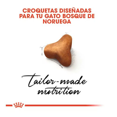 Royal Canin Norwegian Forest Cat