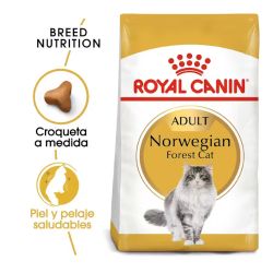 Royal Canin Norwegian Forest Cat