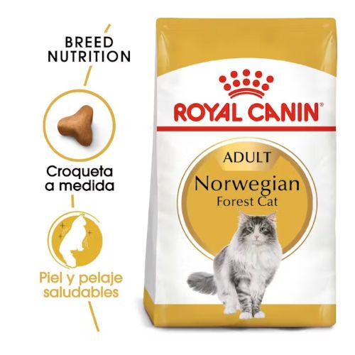Royal Canin Norwegian Forest Cat