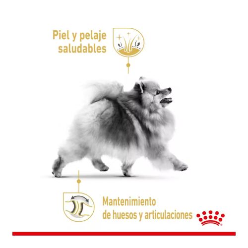 Royal Canin Pomeranian Adult, 3 Kg