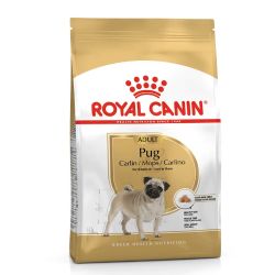 Royal Canin Pug Adult