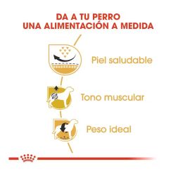 Royal Canin Pug Adult