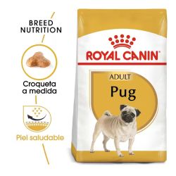 Royal Canin Pug Adult