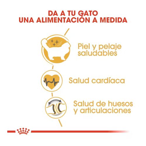 Royal Canin Ragdoll, 2 kg