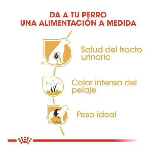 Royal Canin Schnauzer Miniature Adult