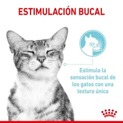 Royal Canin Sensory Feel, 12 x 85 Gr