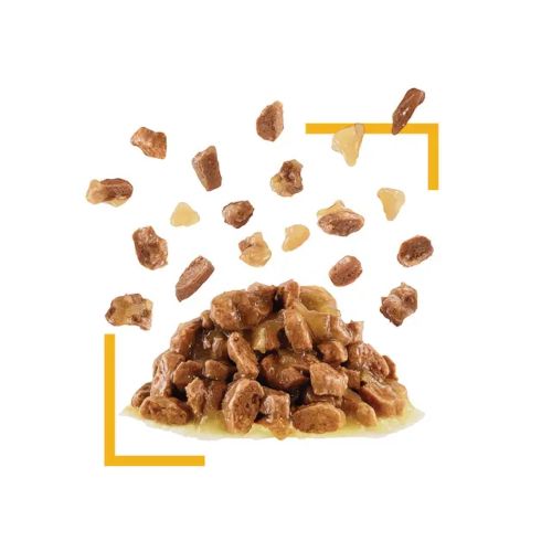 Royal Canin Sensory Taste, 12 x 85 Gr