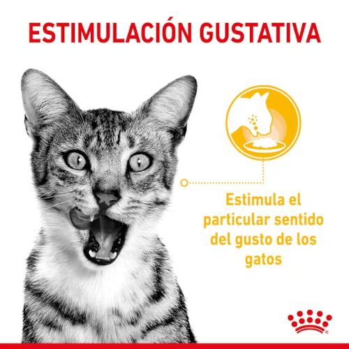 Royal Canin Sensory Taste, 12 x 85 Gr
