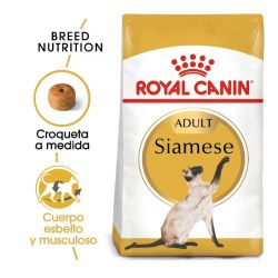 Royal Canin Siamese