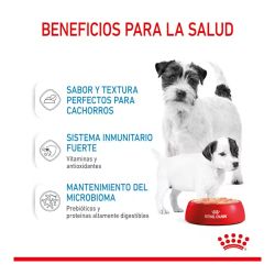 Royal Canin Starter Mousse, 12 x 195 Gr