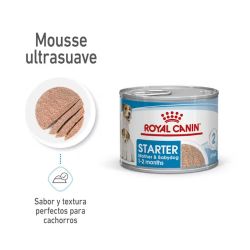 Royal Canin Starter Mousse, 12 x 195 Gr