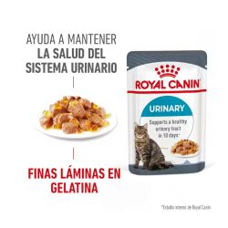 Royal Canin Urinary Care Jelly, 12 x 85 Gr