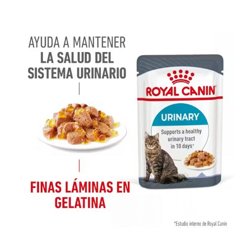 Royal Canin Urinary Care Jelly, 12 x 85 Gr