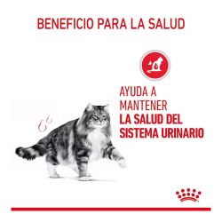 Royal Canin Urinary Care