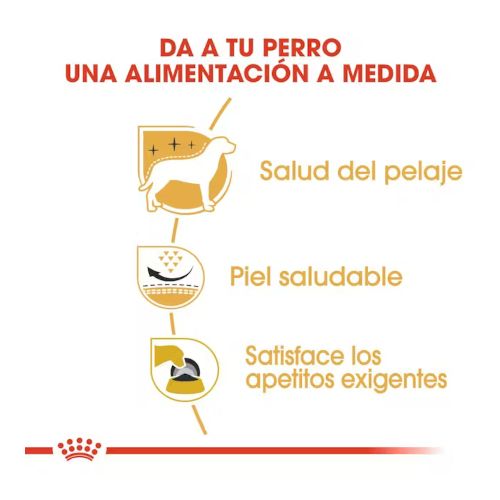Royal Canin West Highland Adult