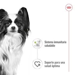 Royal Canin X-Small Adult, 12 x 85 gr