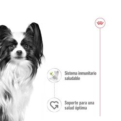 Royal Canin X-Small Adult, 12 x 85 Gr