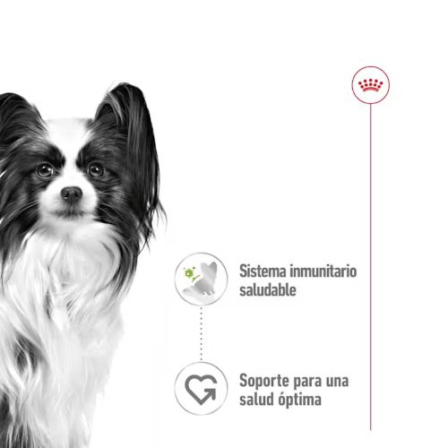 Royal Canin X-Small Adult, 12 x 85 Gr