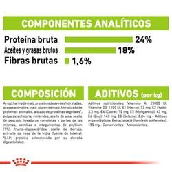 Royal Canin X-Small Adult 8+