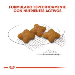 Royal Canin X-Small Adult Sterilised, 1,5 kg