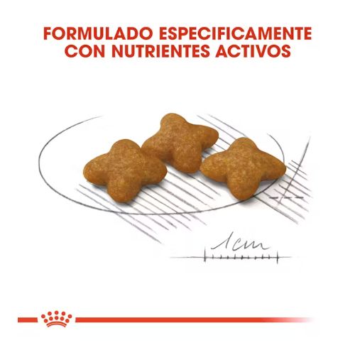 Royal Canin X-Small Adult Sterilised, 1,5 kg
