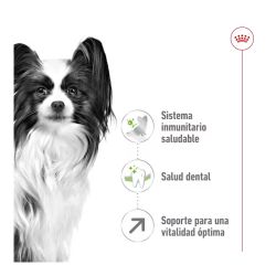 Royal Canin X-Small Adult