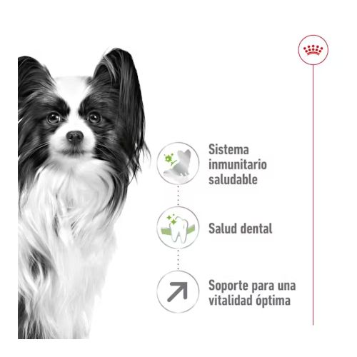 Royal Canin X-Small Adult
