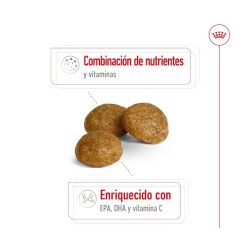 Royal Canin X-Small Adult