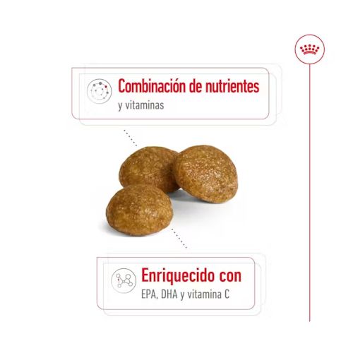 Royal Canin X-Small Adult