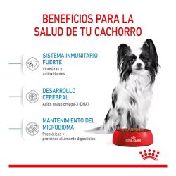 Royal Canin X-Small Puppy