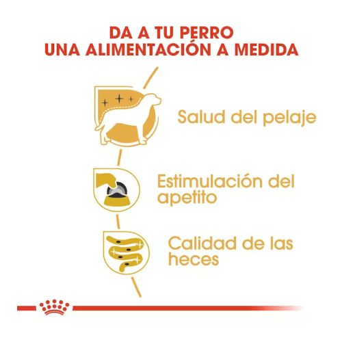 Royal Canin Yorkshire, 12 x 85 Gr