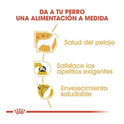 Royal Canin Yorkshire Adult