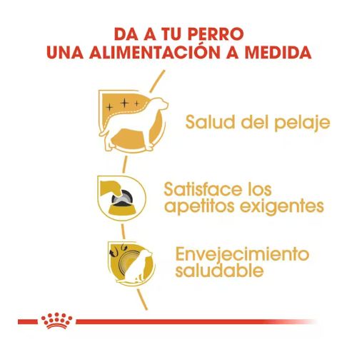 Royal Canin Yorkshire Adult