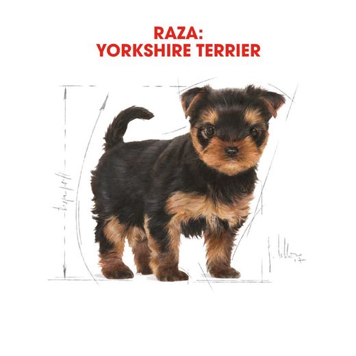 Royal Canin Yorkshire Terrier Puppy 1,5 kg.