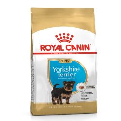 Royal Canin Yorkshire Terrier Puppy