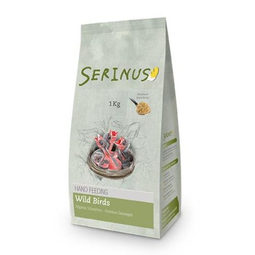 Serinus Papilla Silvestre