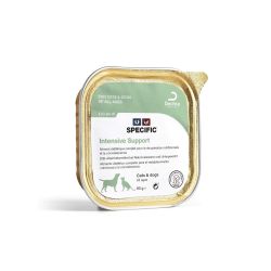 Specific Intensive Support F/C-IN