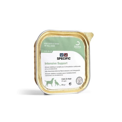 Specific Intensive Support F/C-IN