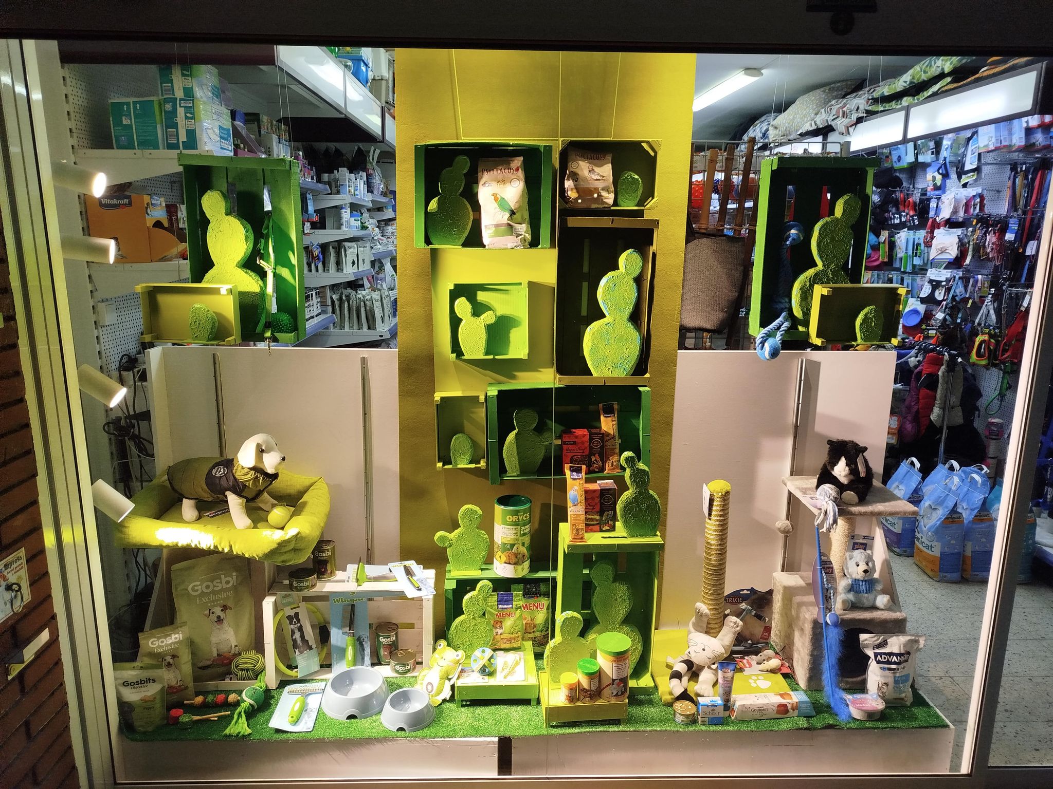 Escaparate tienda física en Premià de Mar Barcelona España
