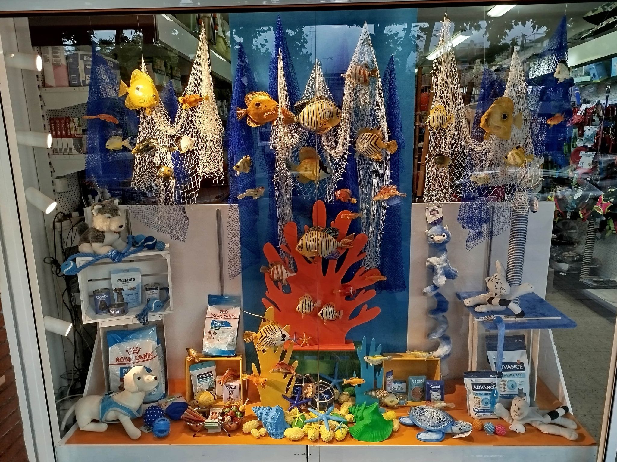 Escaparate 3 tienda física en Premià de Mar Barcelona España